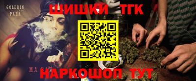 гидра Вышний Волочёк