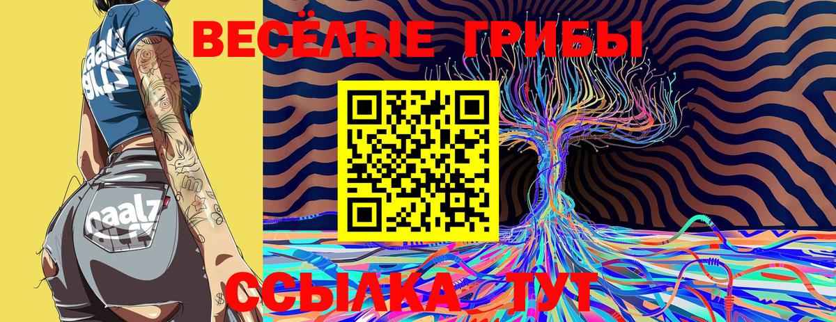 сколько стоит  Вход с VPN  Псилоцибиновые грибы Cubensis  Домодедово  Псилоцибиновые грибы MAGIC MUSHROOMS 